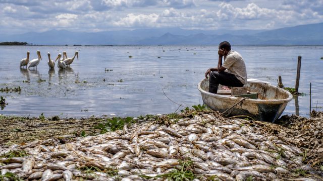 Impact of Climate Change on Lake Naivasha's Ecosystem and Economy