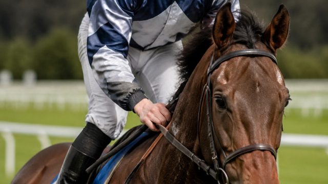 Ben Lecky Shines Again in Meath: A Rising Star in Horse Racing